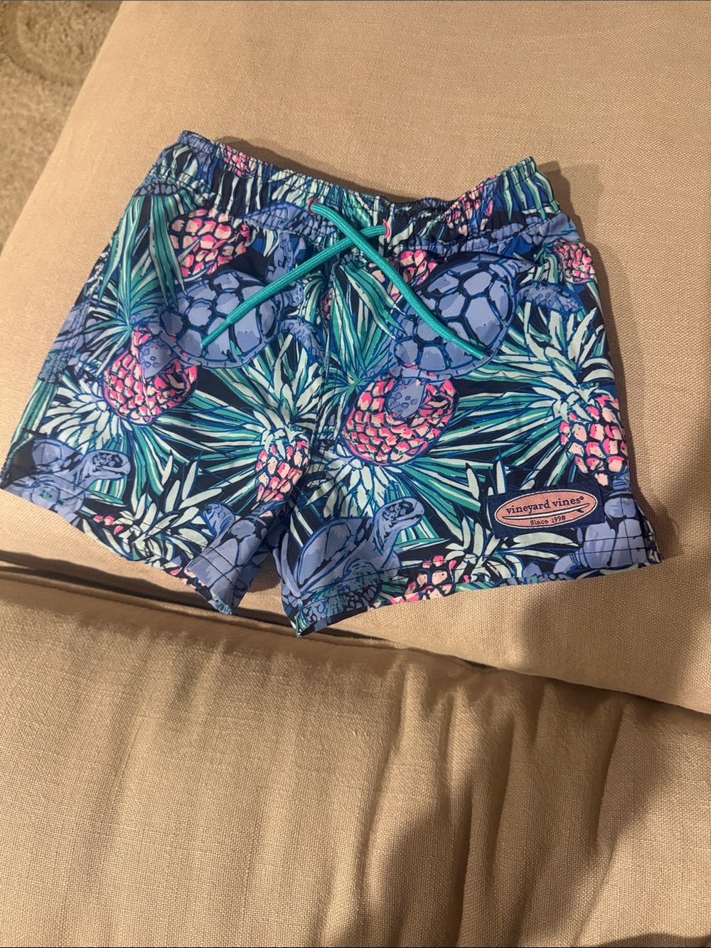 Vineyard Vines Kids Blue Pineapple Print Swim Shorts